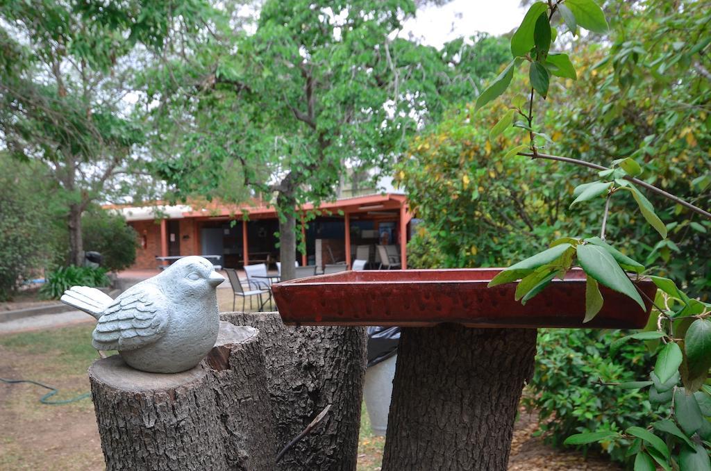River Country Inn (Adults Only) Moama Esterno foto